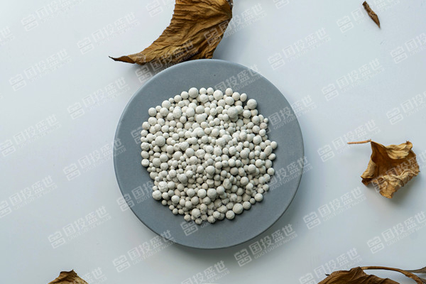 沸石未來10年將實現5%的正復合年增長率