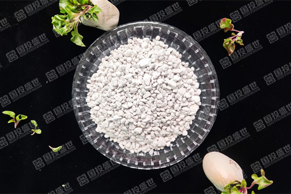 沸石在環境修復中的作用有什么？-國投盛世