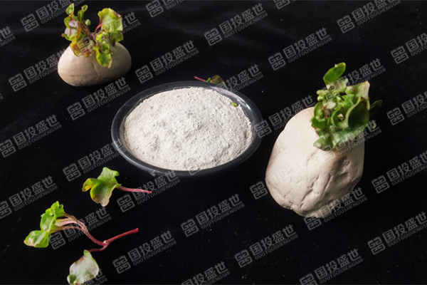 目前沸石飼料添加劑價格是多少？-國投盛世