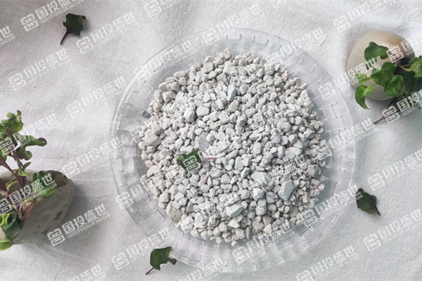 沸石為何能吸附控制垃圾填埋場的甲烷？