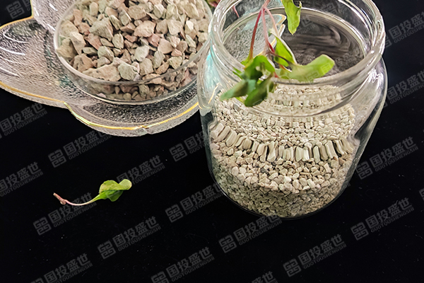沸石與蒙脫石的區別與相同點在哪？
