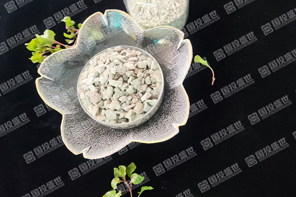 沸石在人工濕地生態系統中的應用-國投盛世
