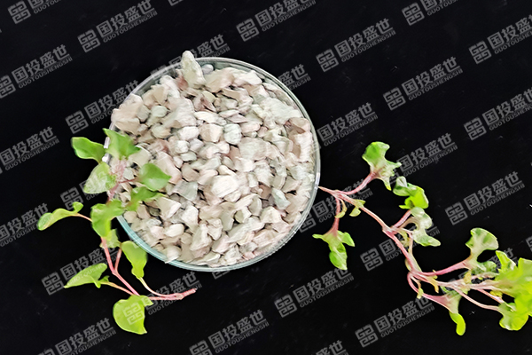 沸石在蘋果樹種植中有哪些優勢？-國投盛世