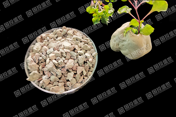 沸石如何提升紅薯種植效果？