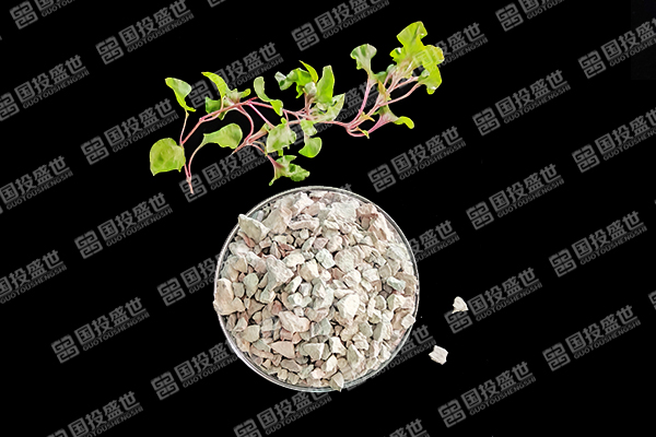 沸石能否成為草莓種植的好幫手？-國投盛世