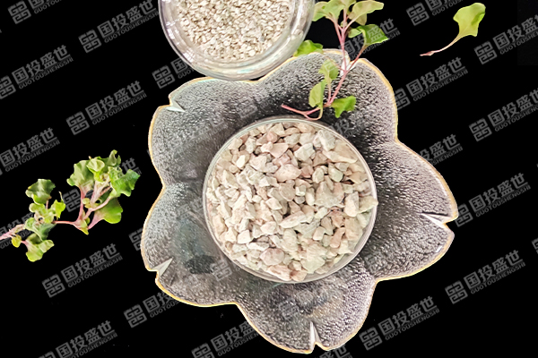 沸石能否提升蔬菜種植效果？-國投盛世