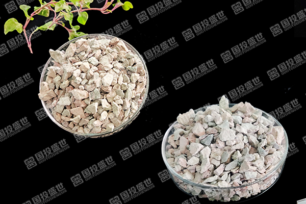 天然沸石如何助力番茄種植邁向綠色高效？-國投盛世