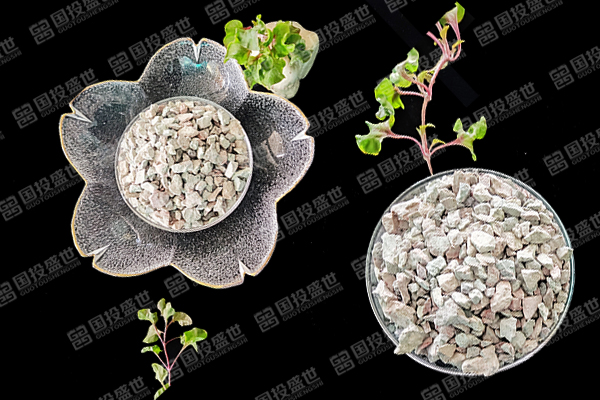 沸石在溫帶水果種植中有哪些積極影響？-國投盛世