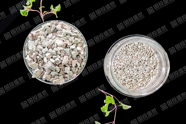 為什么在青蝦養殖中使用沸石能帶來顯著好處？-國投盛世