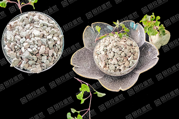 沸石在蟶子養殖中有哪些好處？
