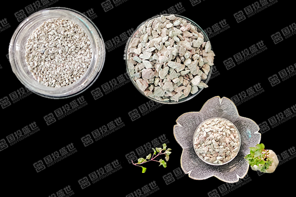 養殖甲魚時使用沸石會帶來益處嗎？-國投盛世