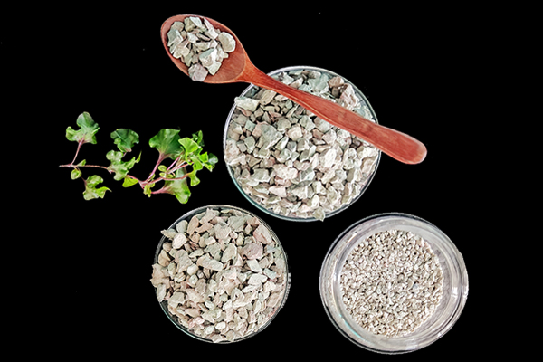 油菜種植時可以使用沸石嗎？-國投盛世