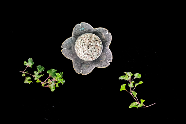 天然沸石對油菜種植有什么影響？