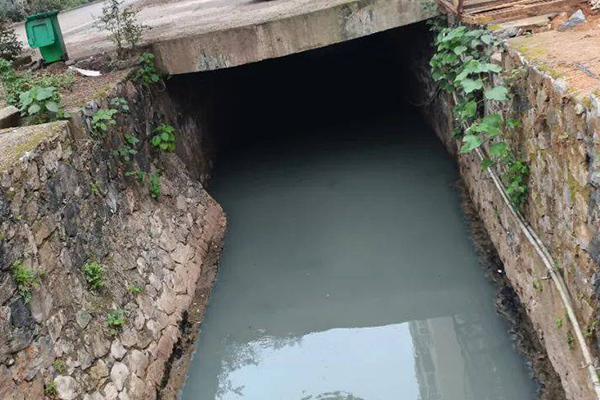沸石處理生活污水效果及水質凈化率-國投盛世