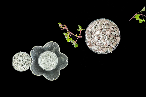 沸石能否助力空心菜產量提升？