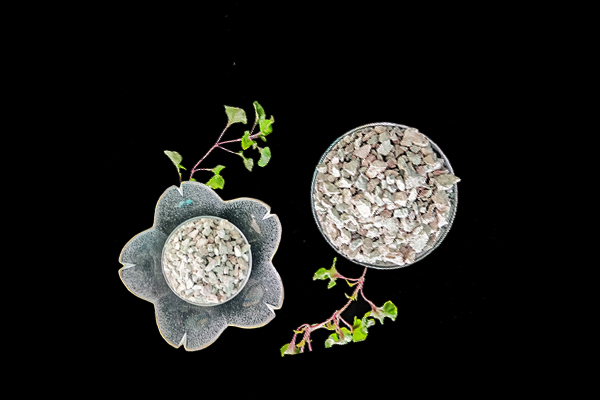 沸石能為扁豆種植帶來哪些改變？-國投盛世