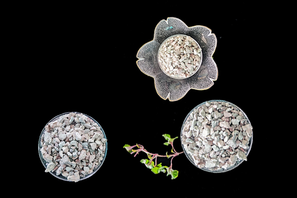 萵苣種植時添加沸石能提升產量嗎？-國投盛世