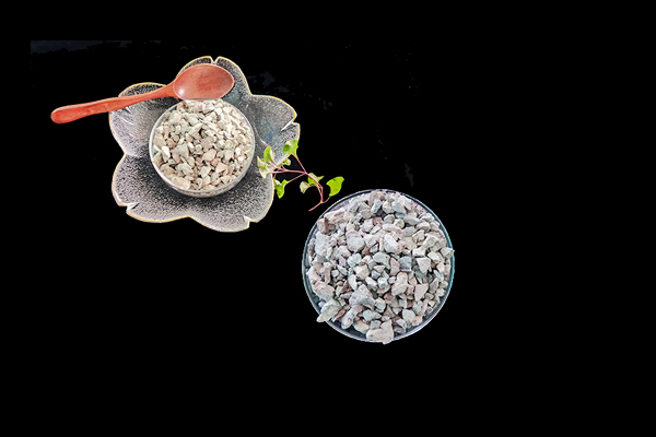 種植魔芋時加入沸石能提高產量嗎？-國投盛世