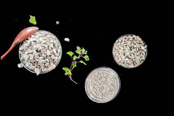 何時添加沸石于大麥種植最有效？